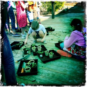 ourkitchengarden.net