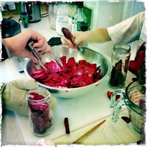 ourkitchengarden.net