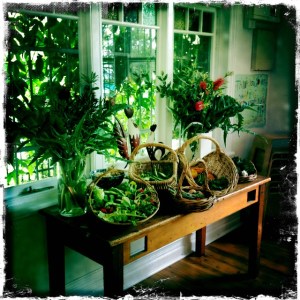 Ligia's beautiful vegecultural display ourkitchengarden.net