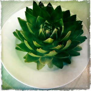 ourkitchengarden.net