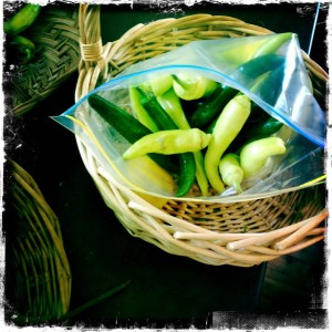 ourkitchengarden.net