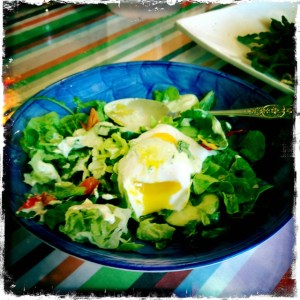 ourkitchengarden.net