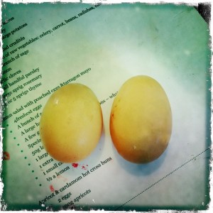 Spot the double-yolker! ourkitchengarden.net