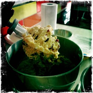 ourkitchengarden.net