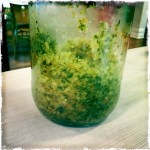 ourkitchengarden.net