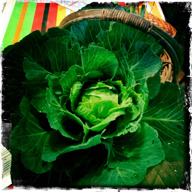 ourkitchengarden.net