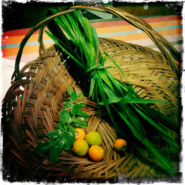 ourkitchengarden.net