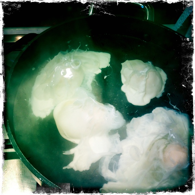 ourkitchengarden.net