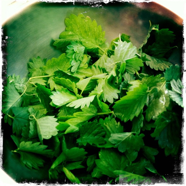 ourkitchengarden.net