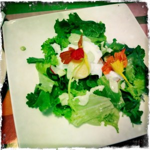 ourkitchengarden.net