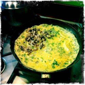 ourkitchengarden.net