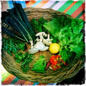 ourkitchengarden.net