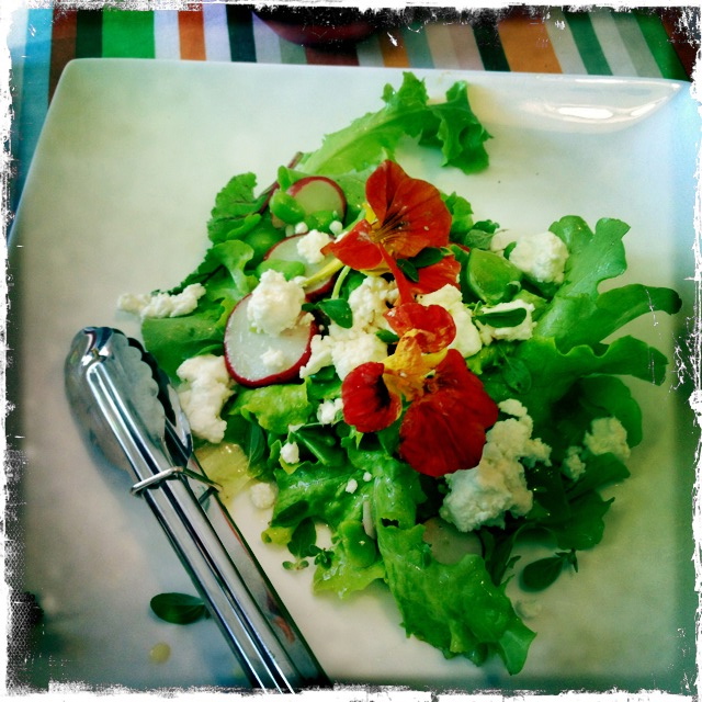 ourkitchengarden.net