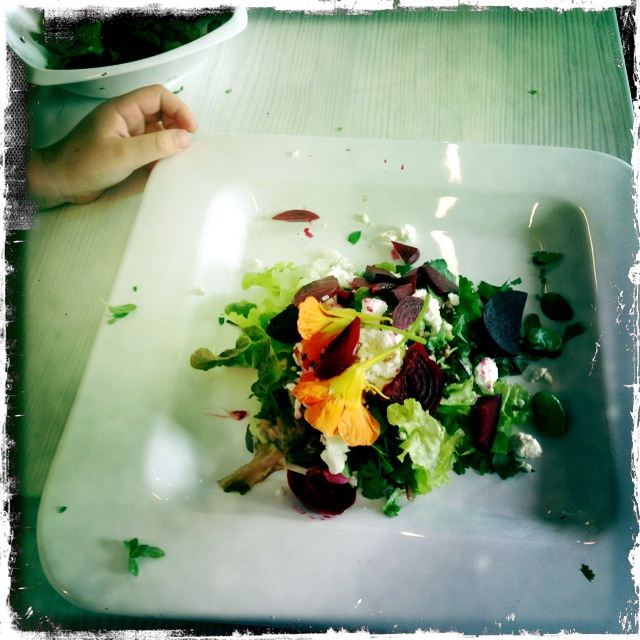 ourkitchengarden.net