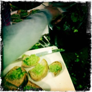 ourkitchengarden.net