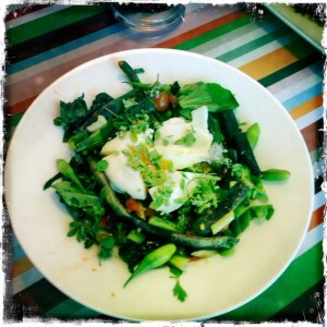 ourkitchengarden.net