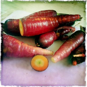 ourkitchengarden.net