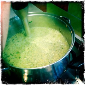 ourkitchengarden.net