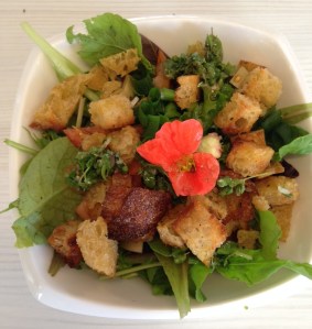 ourkitchengarden.net