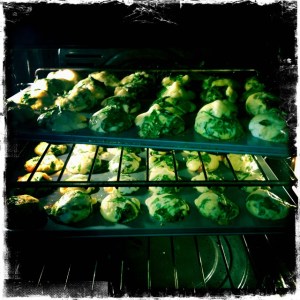 ourkitchengarden.net