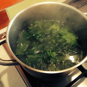 ourkitchengarden.net