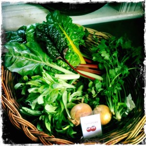 ourkitchengarden.net