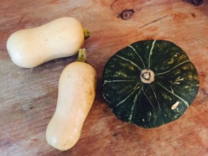 ourkitchengarden.net