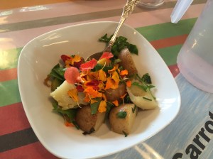 ourkitchengarden.net